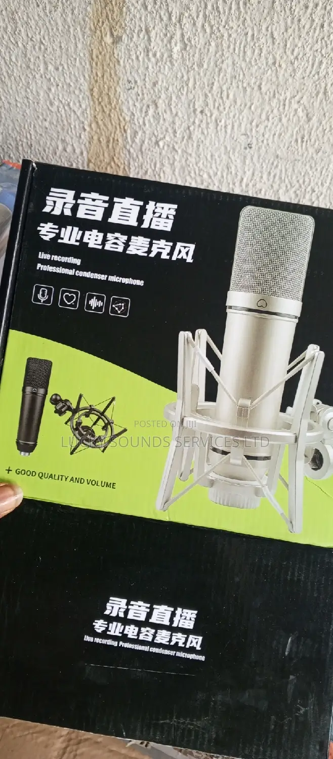 Professional Studio Microphone