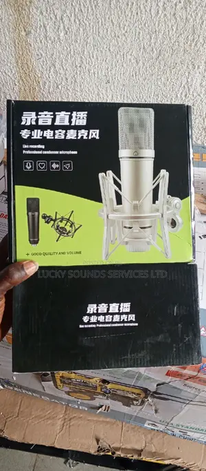 Professional Studio Microphone