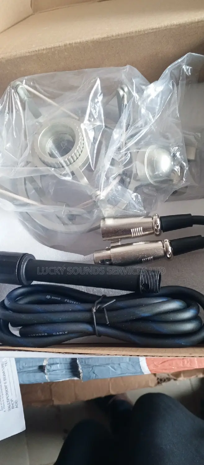 Professional Studio Microphone