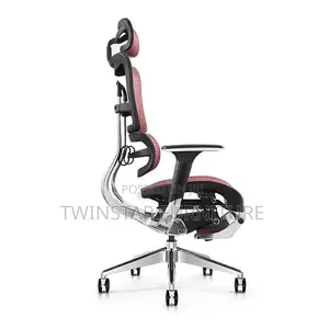 Executive Modern Mesh Adjustable Office Chair With 3D Arm
