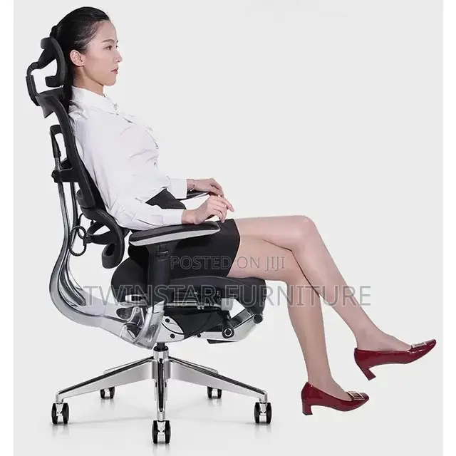 Executive Modern Mesh Adjustable Office Chair With 3D Arm
