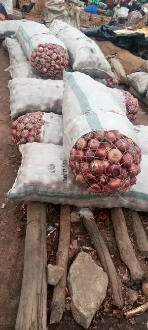 Fresh Onions