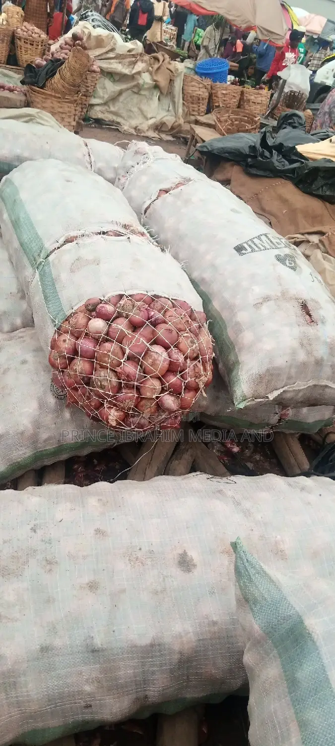 Fresh Onions