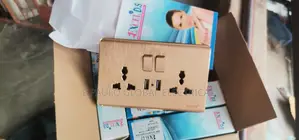 Gold Socket With USB Charger