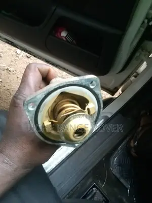 Thermostats Range Rover