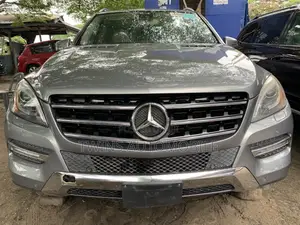Mercedes-Benz M Class 2014 Gray