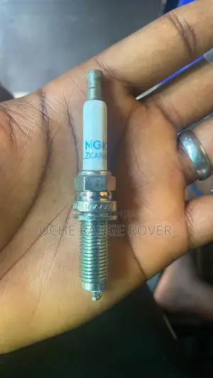 Range Rover Plugs