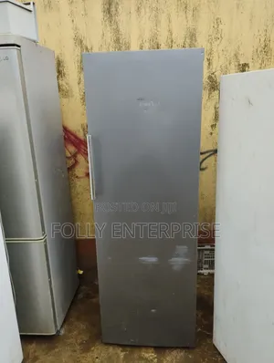 Standing Non Frost Freezer
