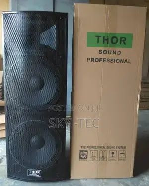 Original a Pair of Thor Double Copper Big Magnet Speaker