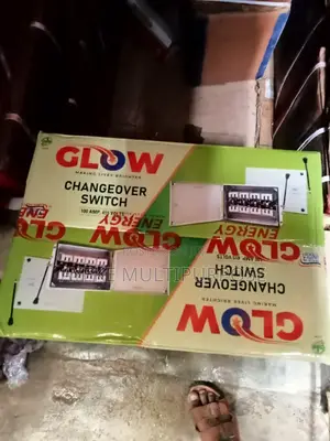 100A Change Over Switch GLO