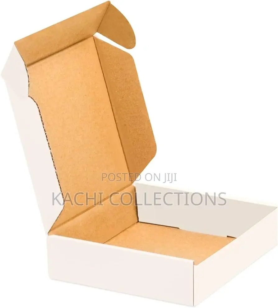 Pizza Box With Safe Lock