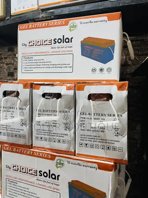 220ah City Choice Battery