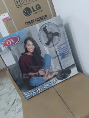 Fast Selling Ox Fan (Best Quality)