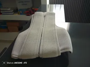 Dorso Lumbar Back Support