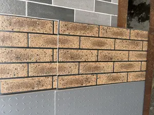 Goodwill Product Tiles 30*60 Sizes