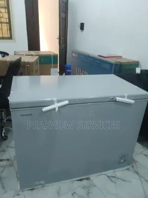 Effective Hisense Chest Freezer Fc390sh