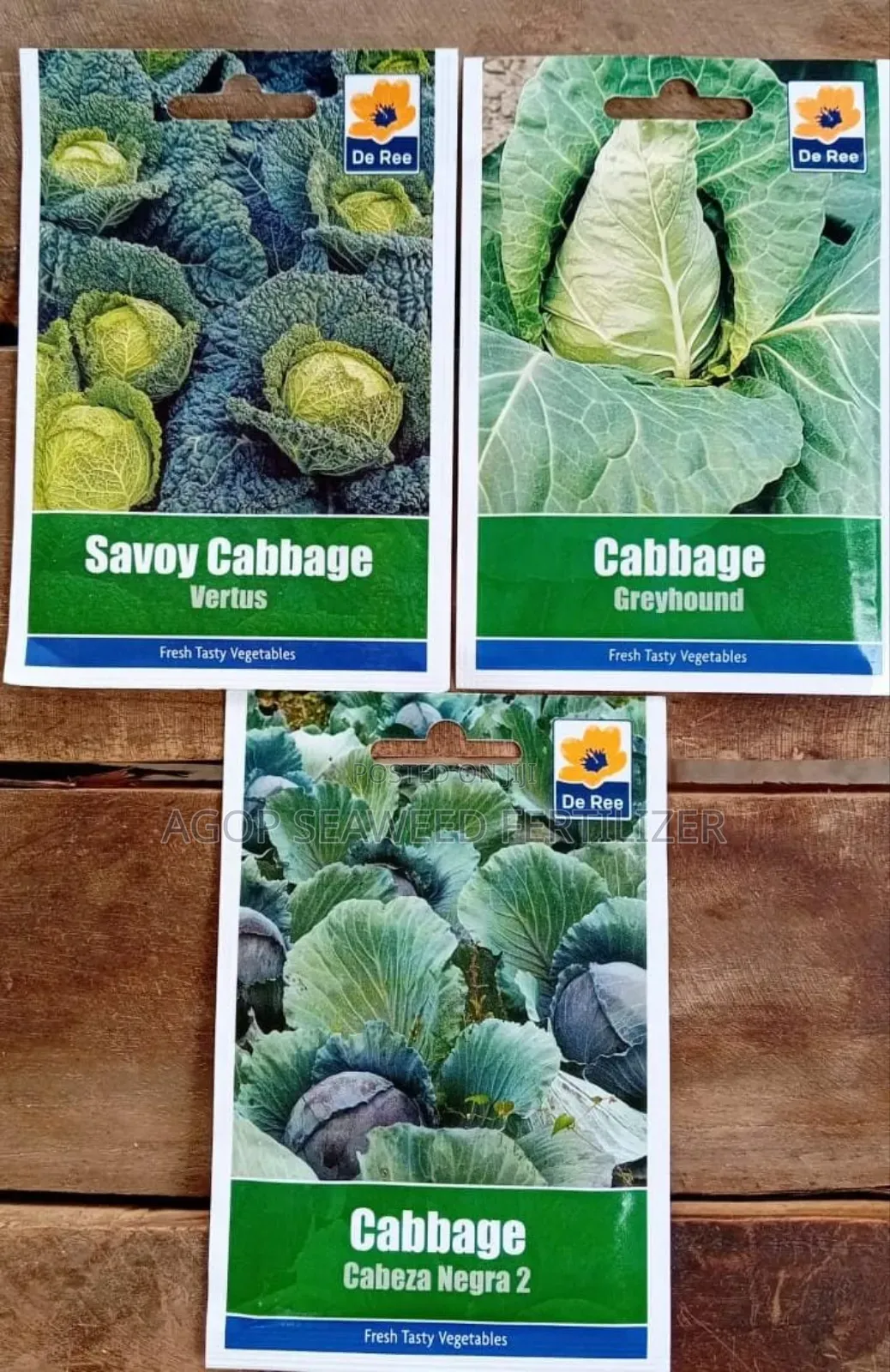 Assorted Cabbage Seeds