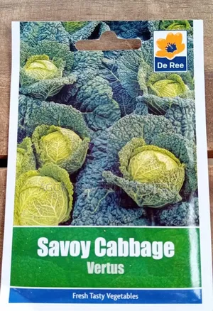 Assorted Cabbage Seeds