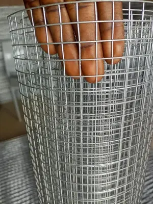 Wire Mesh, Galvanized Wire Goz
