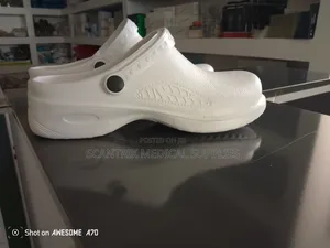Nurse Clogs
