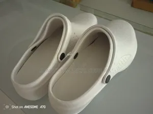 Doctor Clog