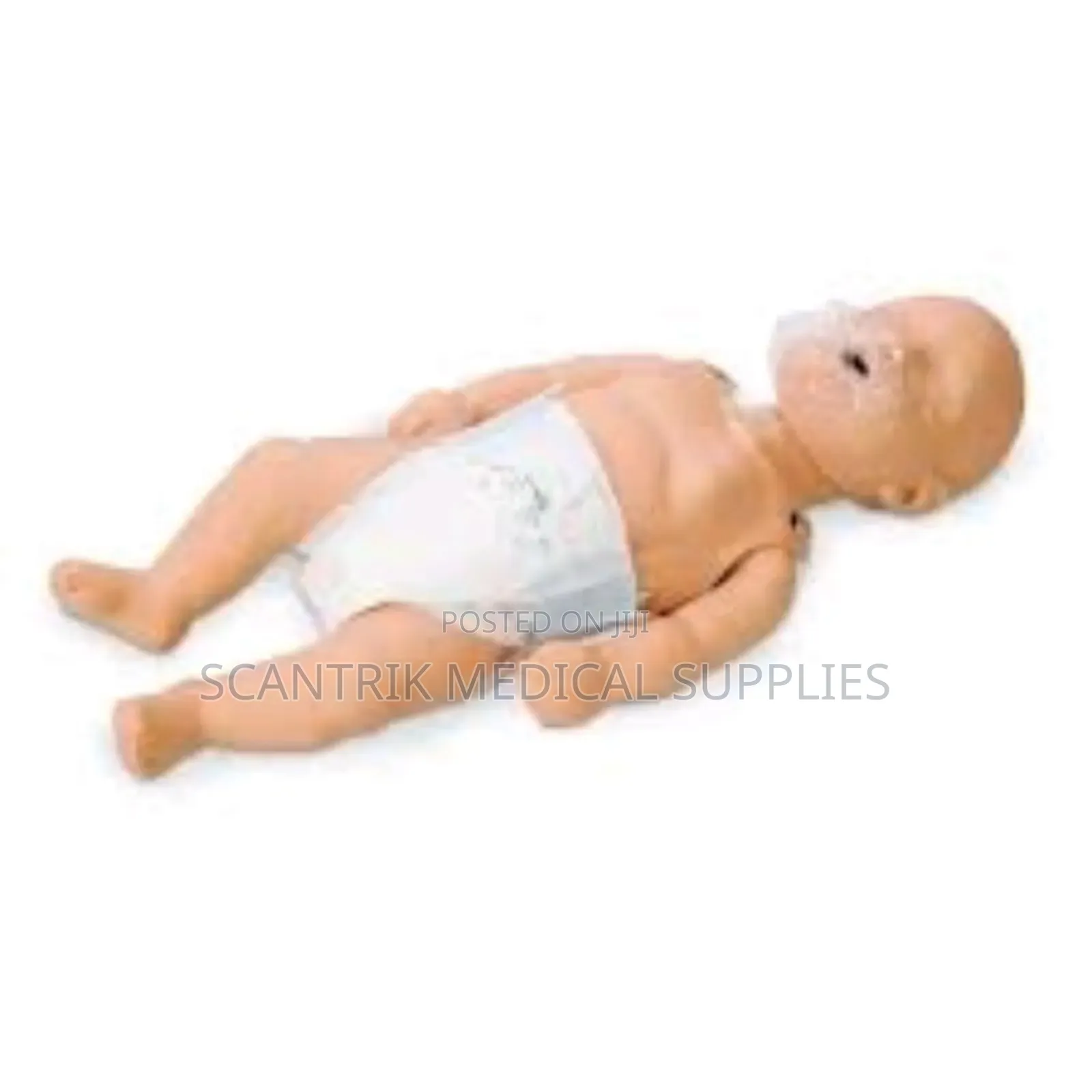 CPR Training Manikin