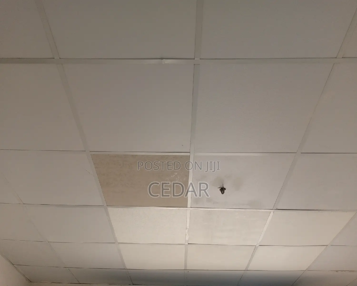Suspended Ceiling