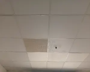 Suspended Ceiling