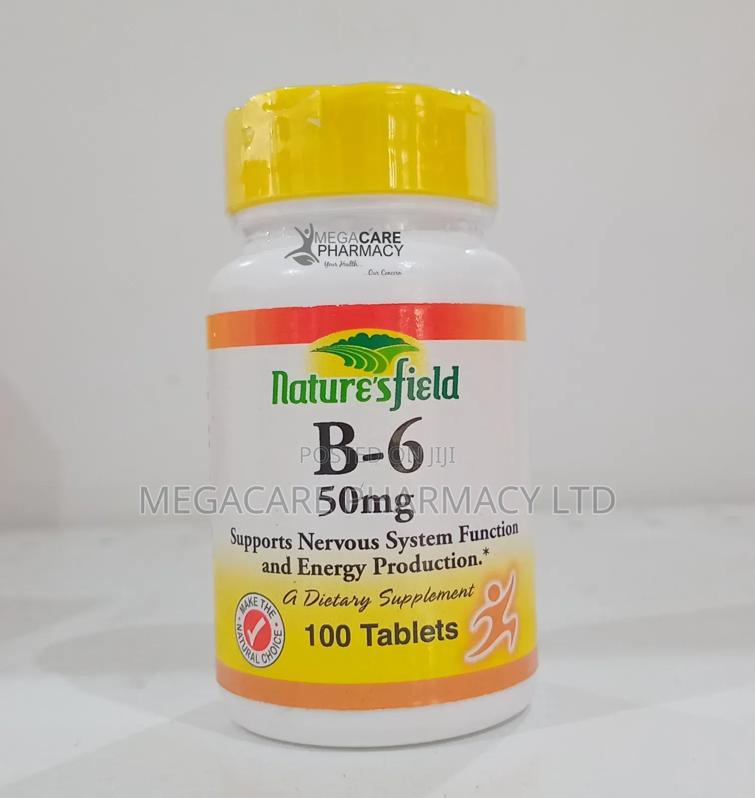 Nnature's Field Vitamin B6