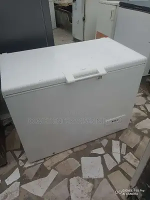 Deep Freezer for Block or Home Use