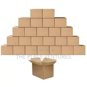 Chicken and Chips Constructed Box.
