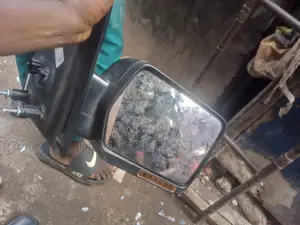 Side Mirror for Ford
