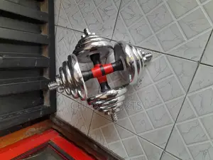 20kg Dumbbell Weight