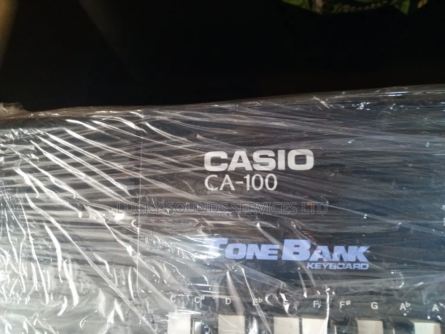 Casio Keyboard Ca100