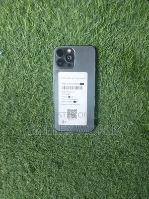 Apple iPhone 13 Pro Max 256 GB Gray