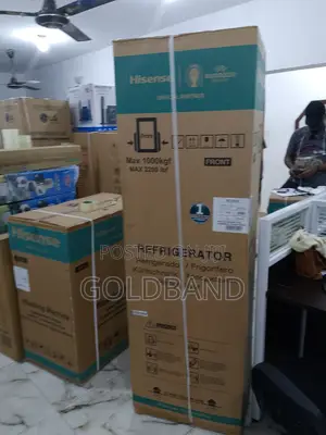 Best Double Door Refrigerator 264L Hisense