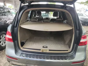 Mercedes-Benz M Class 2014 Gray