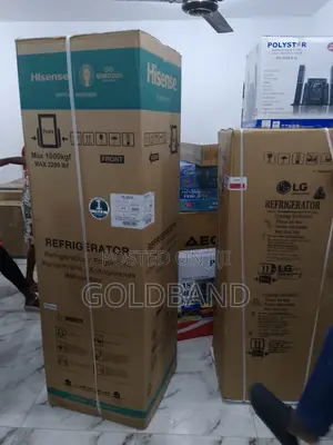 Hisense Fast Selling Refrigerator (RD35DCB)