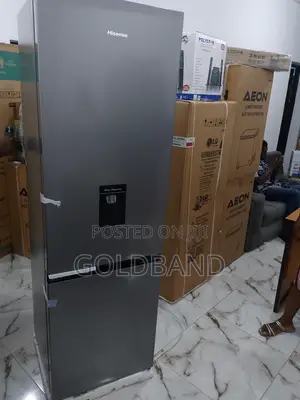 Fast Selling Hisense 269L Double Door Refrigerator