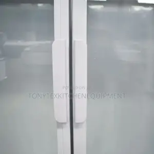 Commercial 2dooe Display Freezer