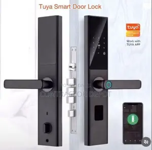 Alexa Locks Handle Electric Password Digital Smart Tuya