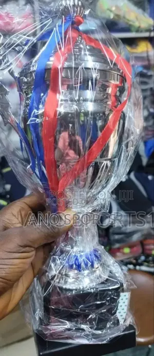 Trophy (Silver Colour)