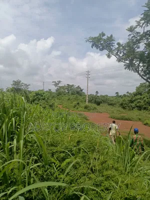 Acres of Land for Sale at Shagam Abeokuta Road