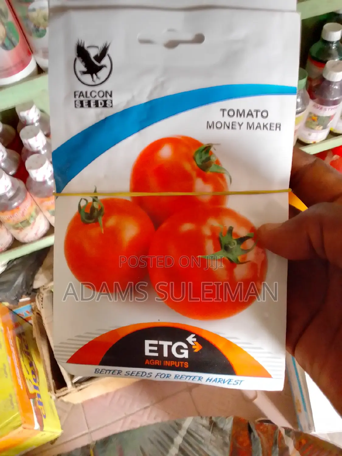 Vegetables Seeds