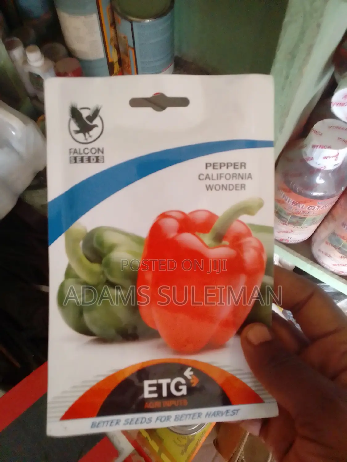 Vegetables Seeds