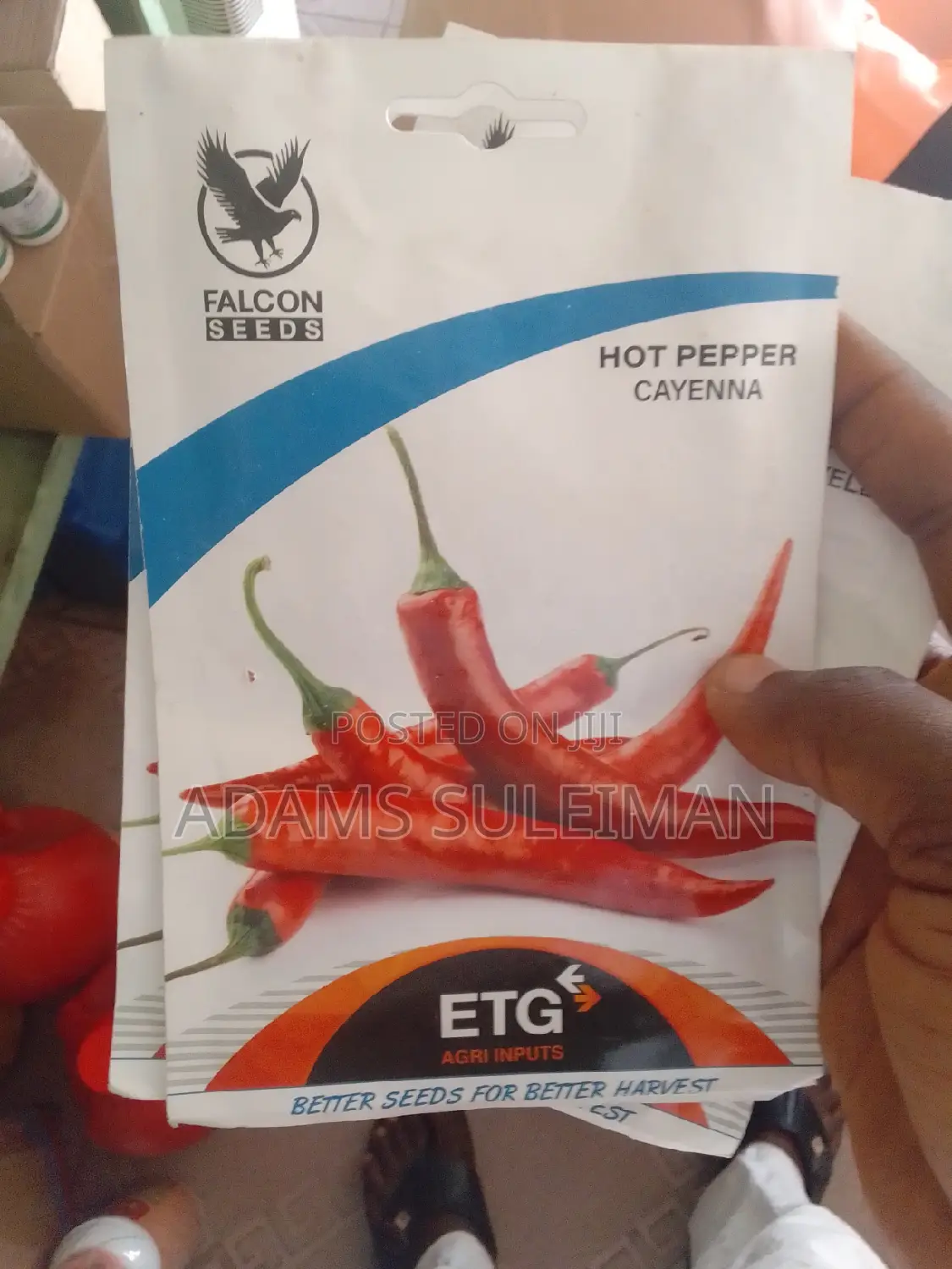 Vegetables Seeds