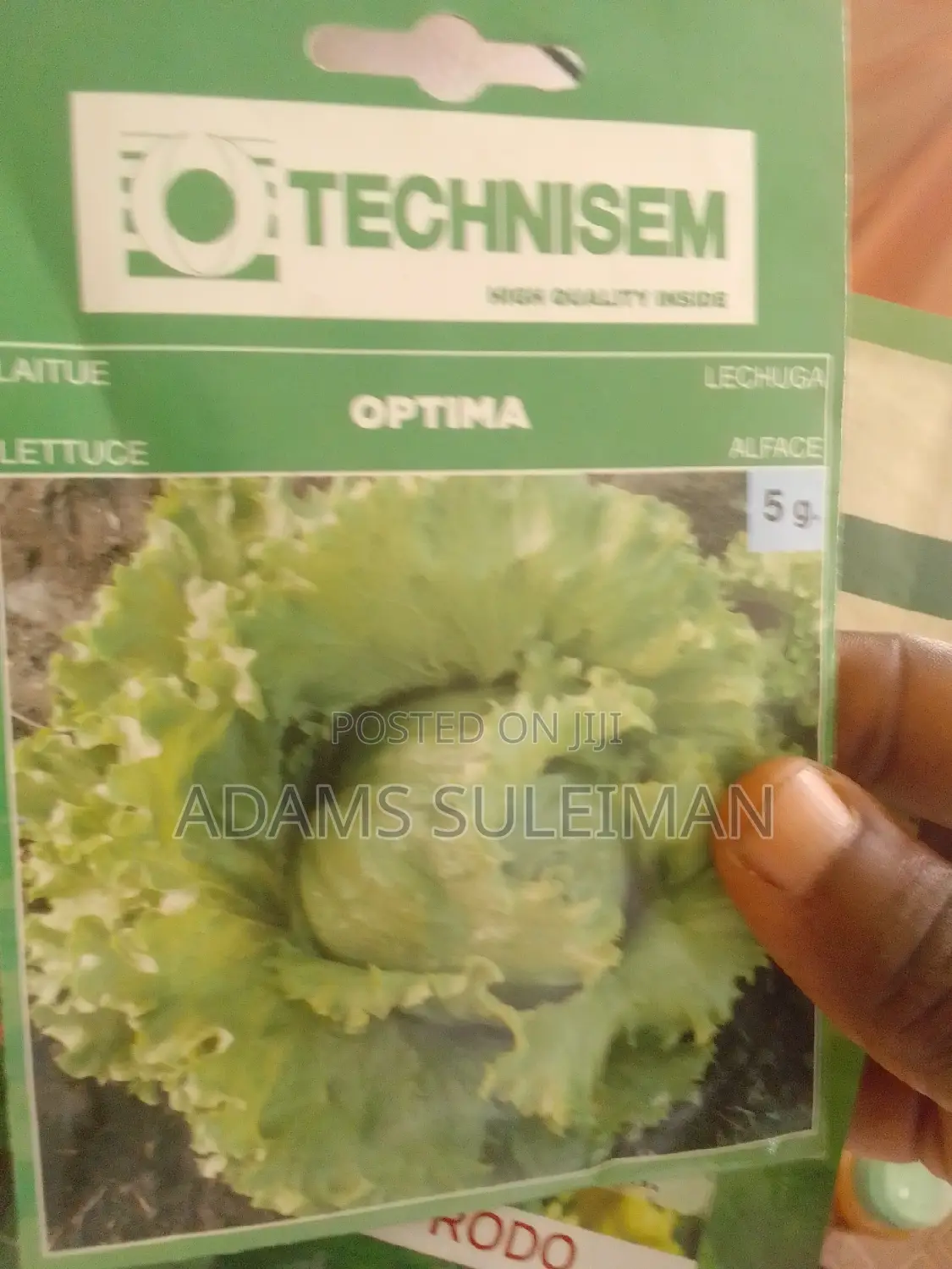 Vegetables Seeds