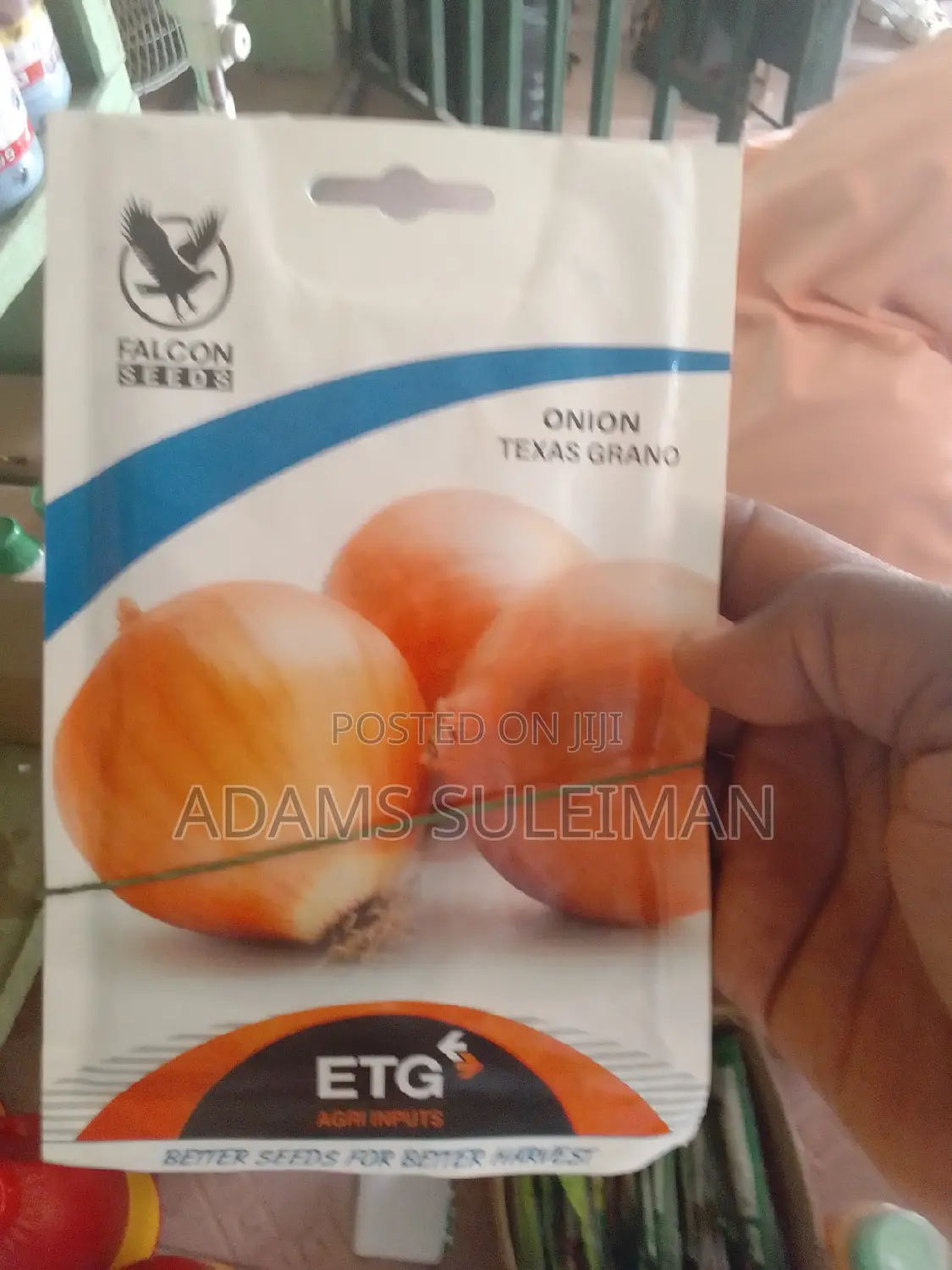 Vegetables Seeds