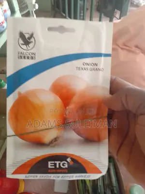 Vegetables Seeds