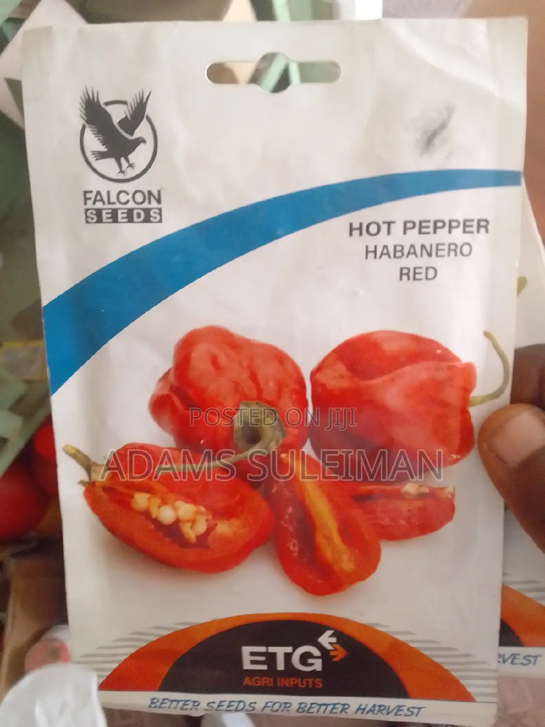 Vegetables Seeds